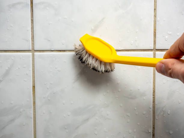 Best Certified Mold Removal  in Kingston Estates, NJ