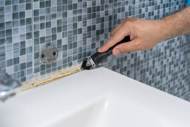 Best Mold Removal Near Me  in Kingston Estates, NJ